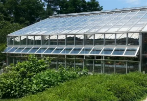 greenhouse0 3 1786071750 6sue